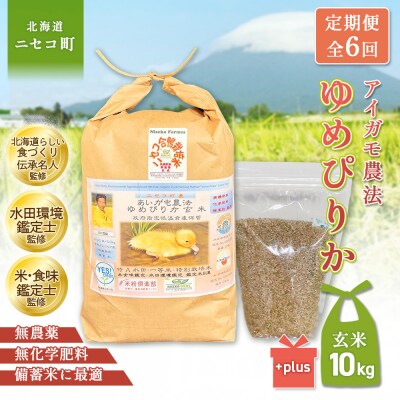 《令和8年産米》【6回定期便】合鴨農法ゆめぴりか【玄米】10kg(1kg×10袋)【3112405】