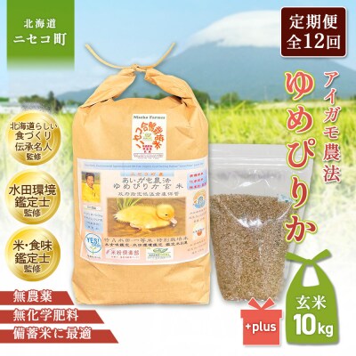 《令和8年産米》【12回定期便】合鴨農法ゆめぴりか 【玄米】10kg【3112503】