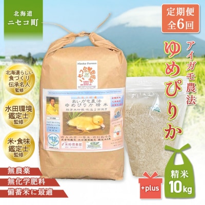 《令和8年産米》【6回定期便】合鴨農法ゆめぴりか 【胚芽米仕様精米】10kg【3112705】