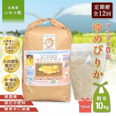 《数量限定先行受付!令和8年産米》【12回定期便】ゆめぴりか胚芽米仕様精米10kg【3112803】