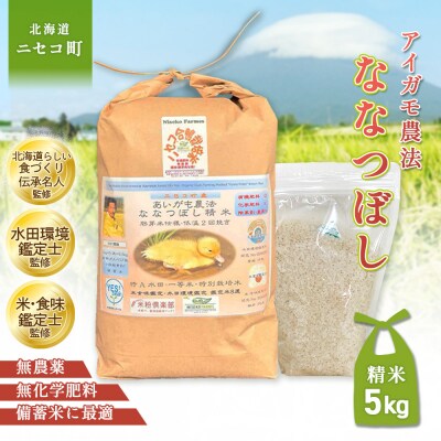 《数量限定先行受付!令和8年産米》ななつぼし【胚芽米仕様精米】5kg【3113904】