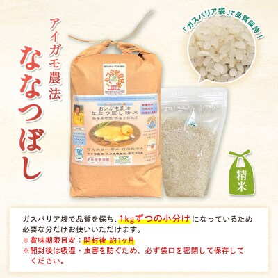 《数量限定先行受付!令和8年産米》ななつぼし【胚芽米仕様精米】5kg【3113904】