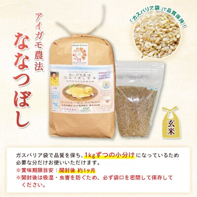 《数量限定先行受付!令和8年産米》ななつぼし【玄米】10kg(1kg×10袋)【3114003】