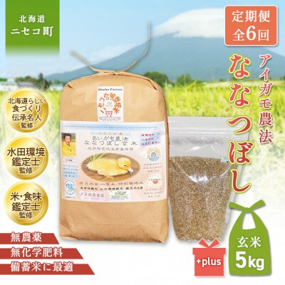 《数量限定先行受付!令和8年産米》【6回定期便】合鴨農法ななつぼし【玄米】5kg【3114403】