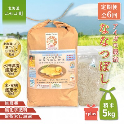 《数量限定先行受付!令和8年産米》【6回定期便】ななつぼし【胚芽米仕様精米】5kg【3114703】