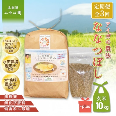 《数量限定先行受付!令和8年産米》【3回定期便】ななつぼし 【玄米】10kg【3114903】