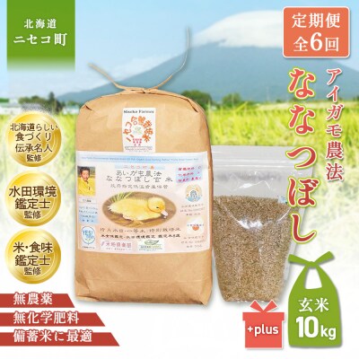 《数量限定先行受付!令和8年産米》【6回定期便】ななつぼし 【玄米】10kg【3115003】