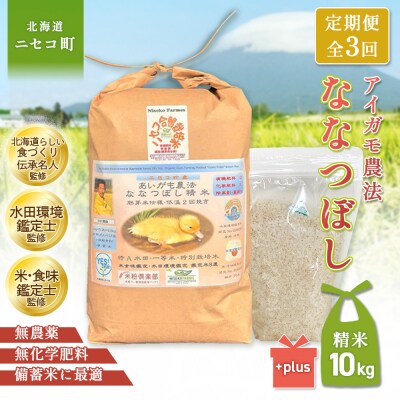 《数量限定先行受付!令和8年産米》【3回定期】ななつぼし 胚芽米仕様精米 10kg【3115203】