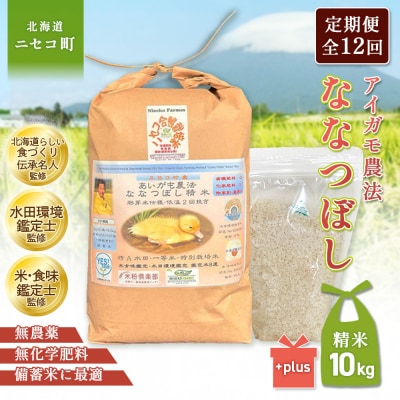 《数量限定先行受付!令和8年産米》【12回定期便】ななつぼし胚芽米仕様精米10kg【3115401】