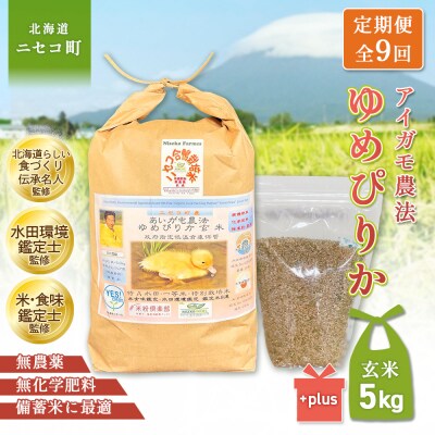 《数量限定先行受付!令和8年産米》【9回定期便】ゆめぴりか 【玄米】5kg【3116702】