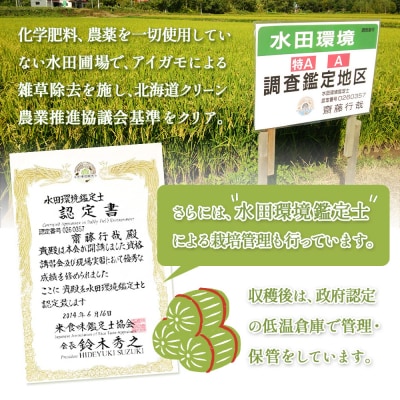 《数量限定先行受付!令和8年産米》【9回定期便】ゆめぴりか 【玄米】5kg【3116702】