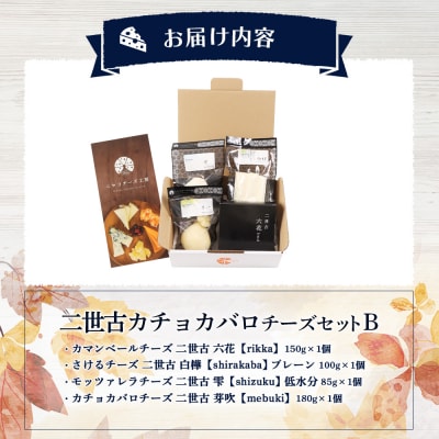 【ニセコチーズ工房】二世古カチョカバロチーズセット B【43021】