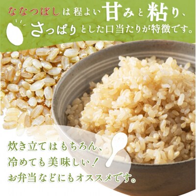 【3回定期便】【発芽発酵玄米】合鴨農法ななつぼし令和7年度米1.8kg
