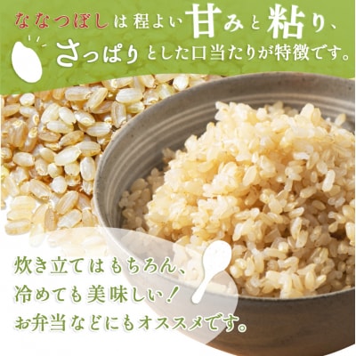 【スーパー玄米!発芽発酵玄米】合鴨農法ななつぼし 令和7年度米 1.8kg