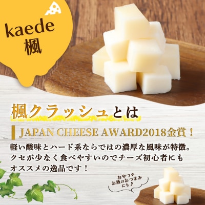 セミハードチーズ 二世古 楓【kaede】クラッシュ 70g×4個【4301002】