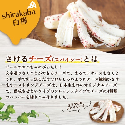 さけるチーズ 二世古 白樺【shirakaba】スペシャルスパイシー 100g×6個【43007】