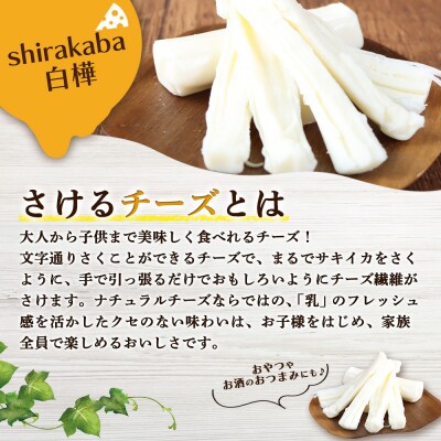 さけるチーズ 二世古 白樺【shirakaba】プレーン 100g×6個【4300602】