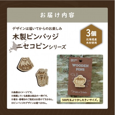 クマゲラ製作　デザインは届いてからのお楽しみ　木製ピンバッジ　ニセコピン　シリーズ3個【50008】