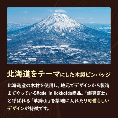 クマゲラ製作　デザインは届いてからのお楽しみ　木製ピンバッジ　ニセコピン　シリーズ5個【50007】
