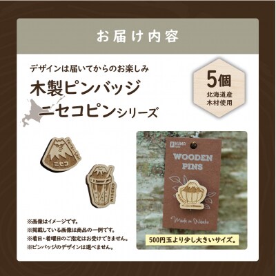 クマゲラ製作　デザインは届いてからのお楽しみ　木製ピンバッジ　ニセコピン　シリーズ5個【50007】