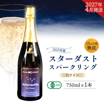 2025年産15ヵ月間熟成　スターダストスパークリング白 750ml×1本【47003AA0101】