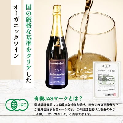 2025年産15ヵ月間熟成　スターダストスパークリング白 750ml×1本【47003AA0101】