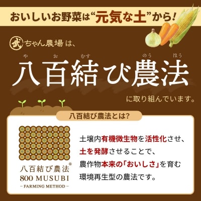 甘さと栄養で体も笑う武ちゃん農場の“ハッピーキャロット 4kg　H095-021
