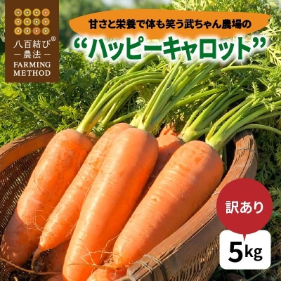 【食品ロス削減】甘さと栄養で体も笑う武ちゃん農場の“ハッピーキャロット” 5kg　H095-022