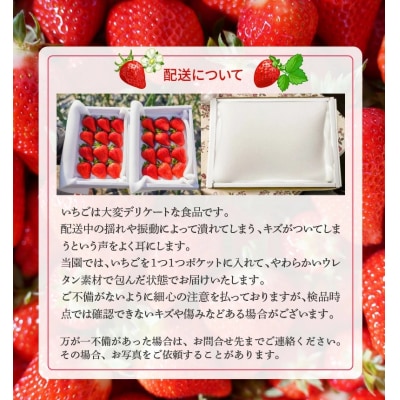 【12月以降順次発送】まるで赤いサファイア!!丹精込めた完熟いちご!約1350g　H130-011