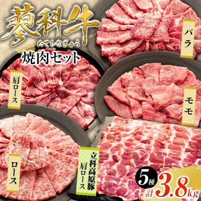 蓼科牛・立科高原豚焼肉セット(牛ロース・牛モモ・牛バラ・牛肩ロース・豚肩ロース)