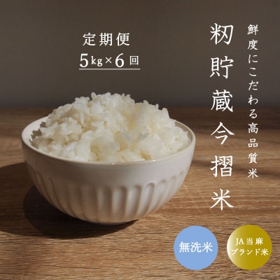 【令和7年産】定期便 無洗米 5kg 6回 籾貯蔵今摺米きたくりん【A-026】