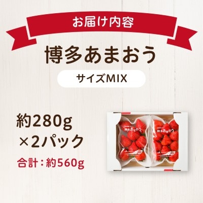 【アフター保証】 JAよりお届け!「博多あまおう」約280g×2パック_HA1937