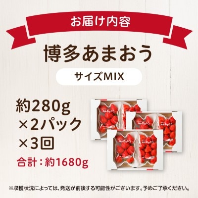 【3回毎月お届け】アフター保証 博多あまおう 約280g×2P【ほたるの里】_HB0075