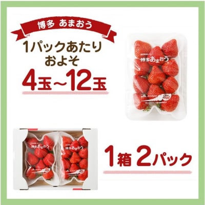 【3回毎月お届け】アフター保証 博多あまおう 約280g×2P【ほたるの里】_HB0075