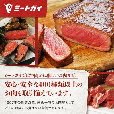 【こだわりの自家製】ミートガイ手作りプレーンハンバーグセット