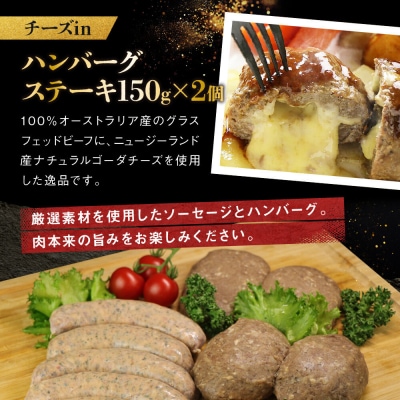 ミートガイ手作り生ソーセージ&手作りプレーンハンバーグ&手作りチーズハンバーグセット