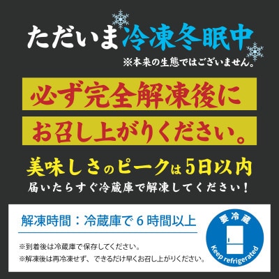 変なはぶたえ生もっちプリン