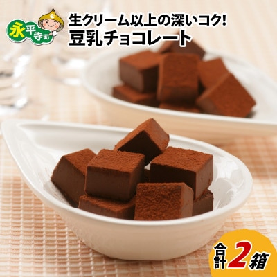 生クリーム以上の深いコク!豆乳チョコレート 9粒×2箱