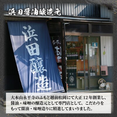 福井名物ソースカツ丼専用ソース 計3本