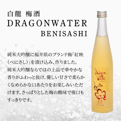 白龍 梅酒 Dragon Water BENISASHI 500ml