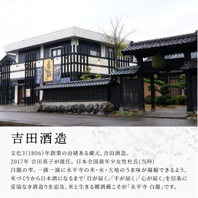白龍 梅酒 Dragon Water BENISASHI 500ml