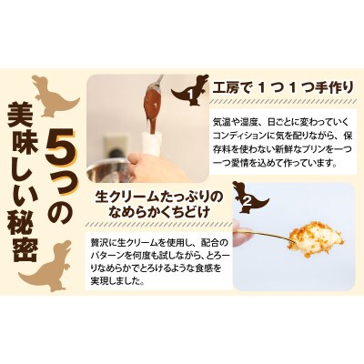 恐竜発掘プリン 6個入り特製ギフトボックス　恐竜スプーン2本付き