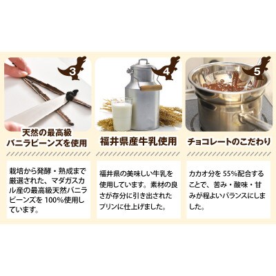 恐竜発掘プリン 6個入り特製ギフトボックス　恐竜スプーン2本付き