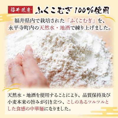 永平寺生らー麺 龍麺 塩味 3食×2箱