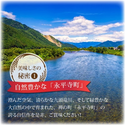 【令和8年産 新米 先行予約】【玄米】特別栽培米 コシヒカリ 5kg 【A-033101】