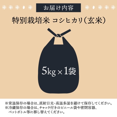 【令和8年産 新米 先行予約】【玄米】特別栽培米 コシヒカリ 5kg 【A-033101】
