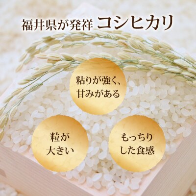 【令和8年産 新米 先行予約】【白米】特別栽培米 コシヒカリ 10kg 【C-033104】