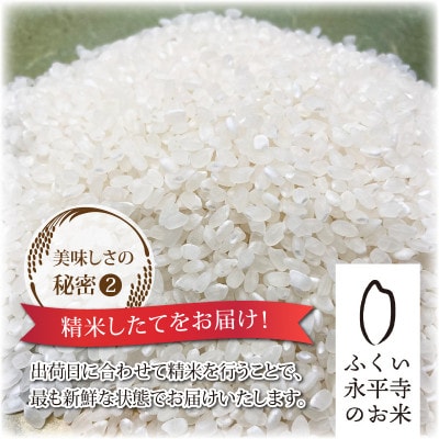 【令和8年産 新米 先行予約】【白米】永平寺町産 コシヒカリ 10kg 【B-033106】