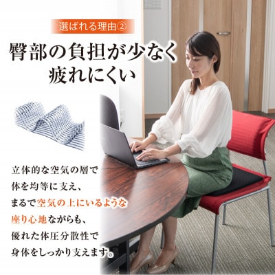 洗えるシートクッション【ムレずに快適】日本製 メディカルコンフォート 1枚