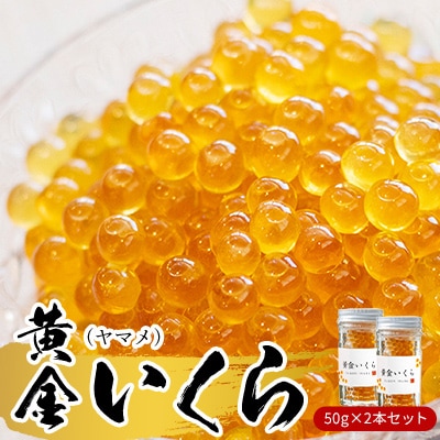 黄金いくら2本セット | ふるさと納税のお礼品